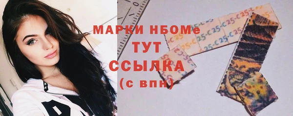 шишки Армянск