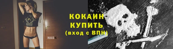 шишки Армянск