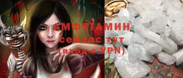 сатива Дмитровск