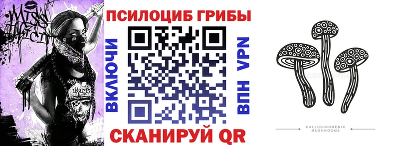 Галлюциногенные грибы ЛСД  магазин  наркотиков  Кашира 